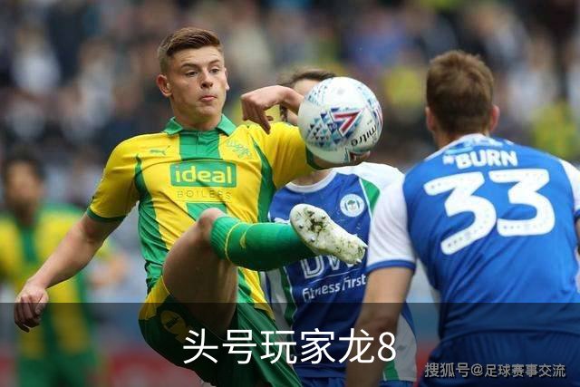 头号玩家龙8公司简介